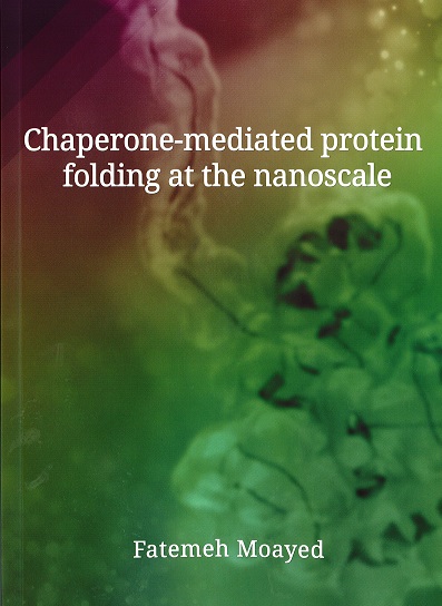 Cover of Chaperone-mediated protein folding at the nanoscale
