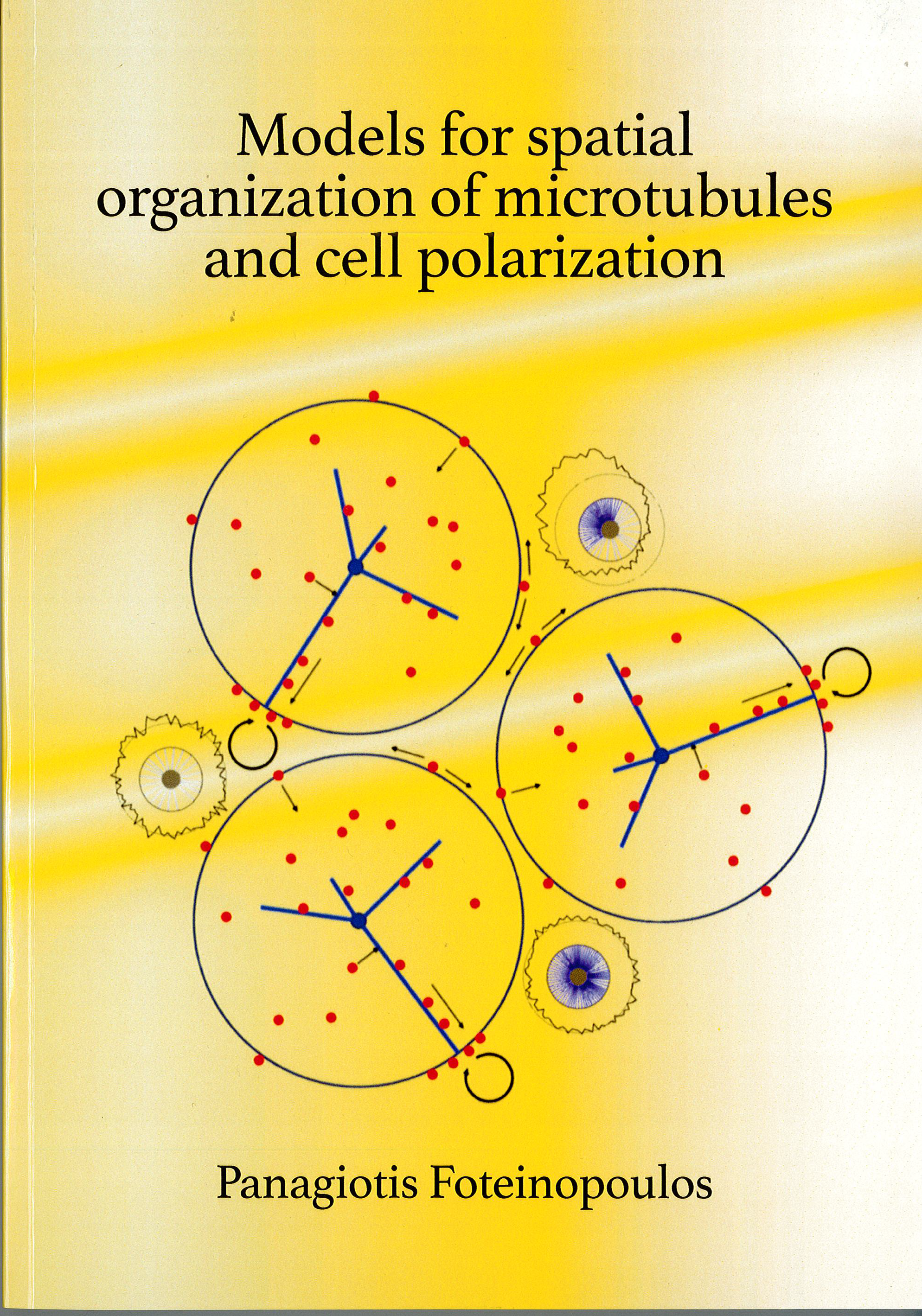 Cover of Models for spatial organization of microtubules and cell polarization