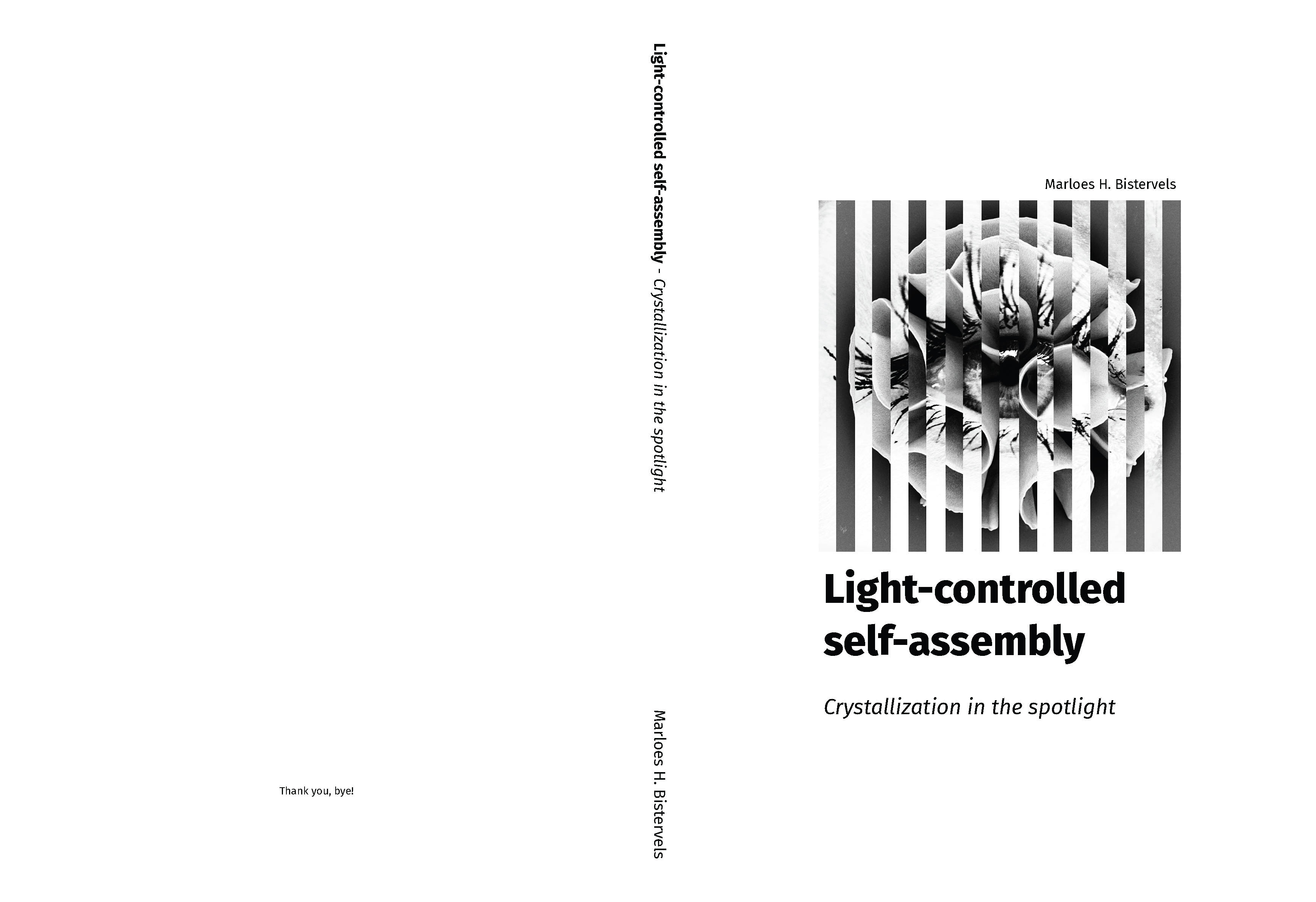 Cover of Light-controlled self-assembly. Crystallization in the spotlight