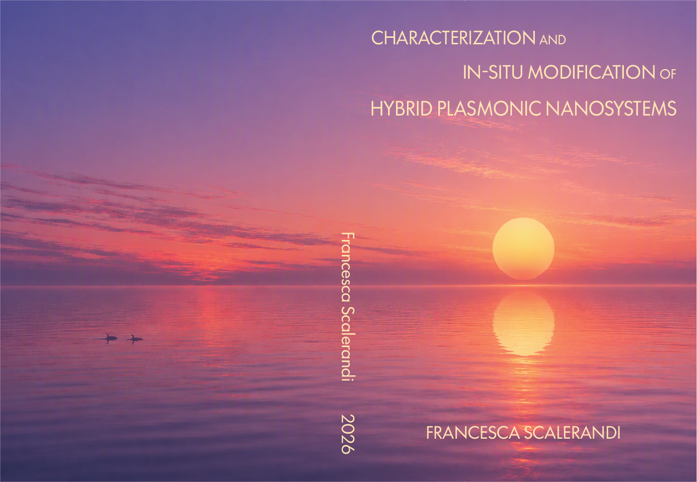 Cover of Characterization and in-situ modification of hybrid plasmonic nanosystems