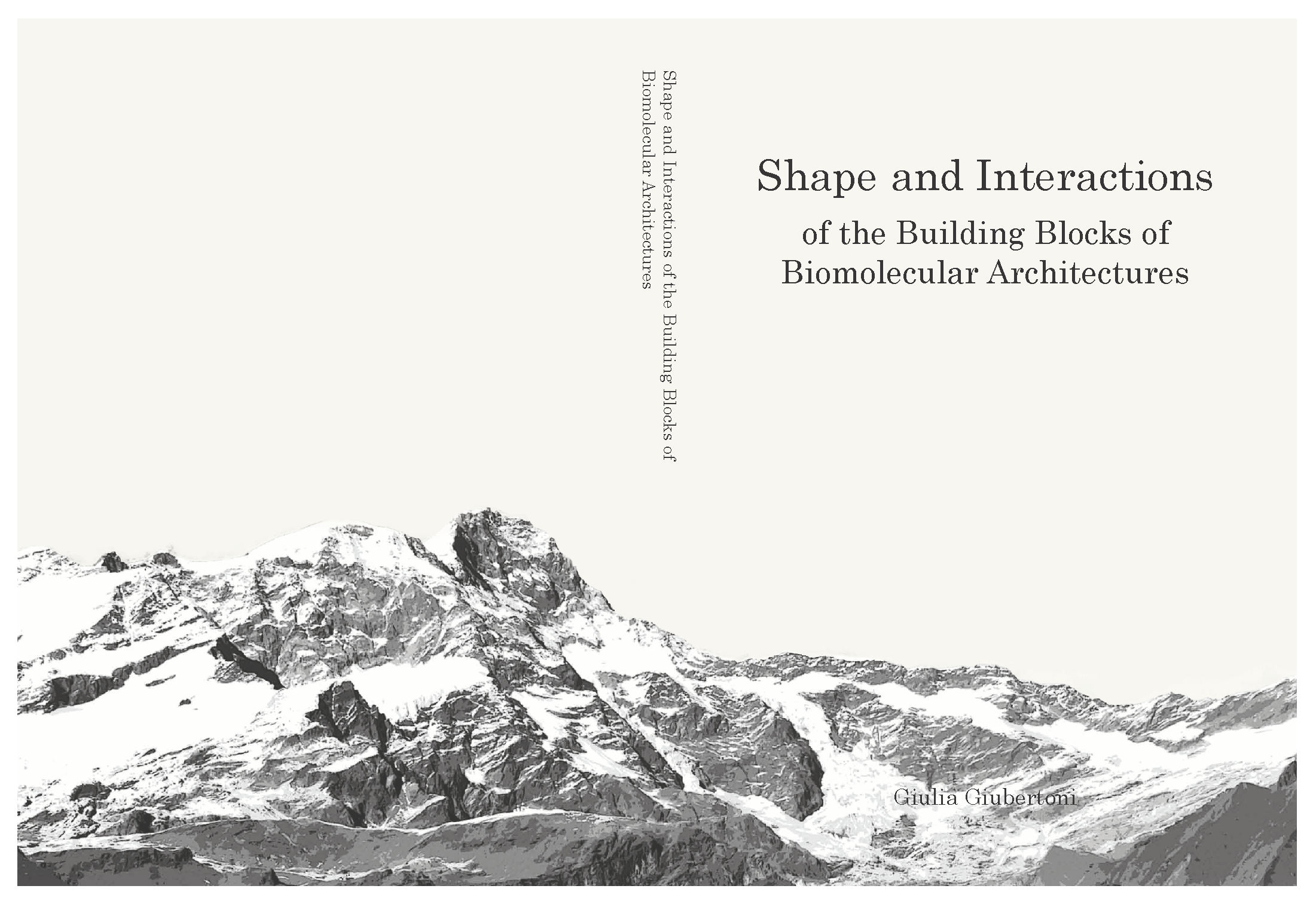 Cover of Shape and interactions of the building blocks of biomolecular architectures
