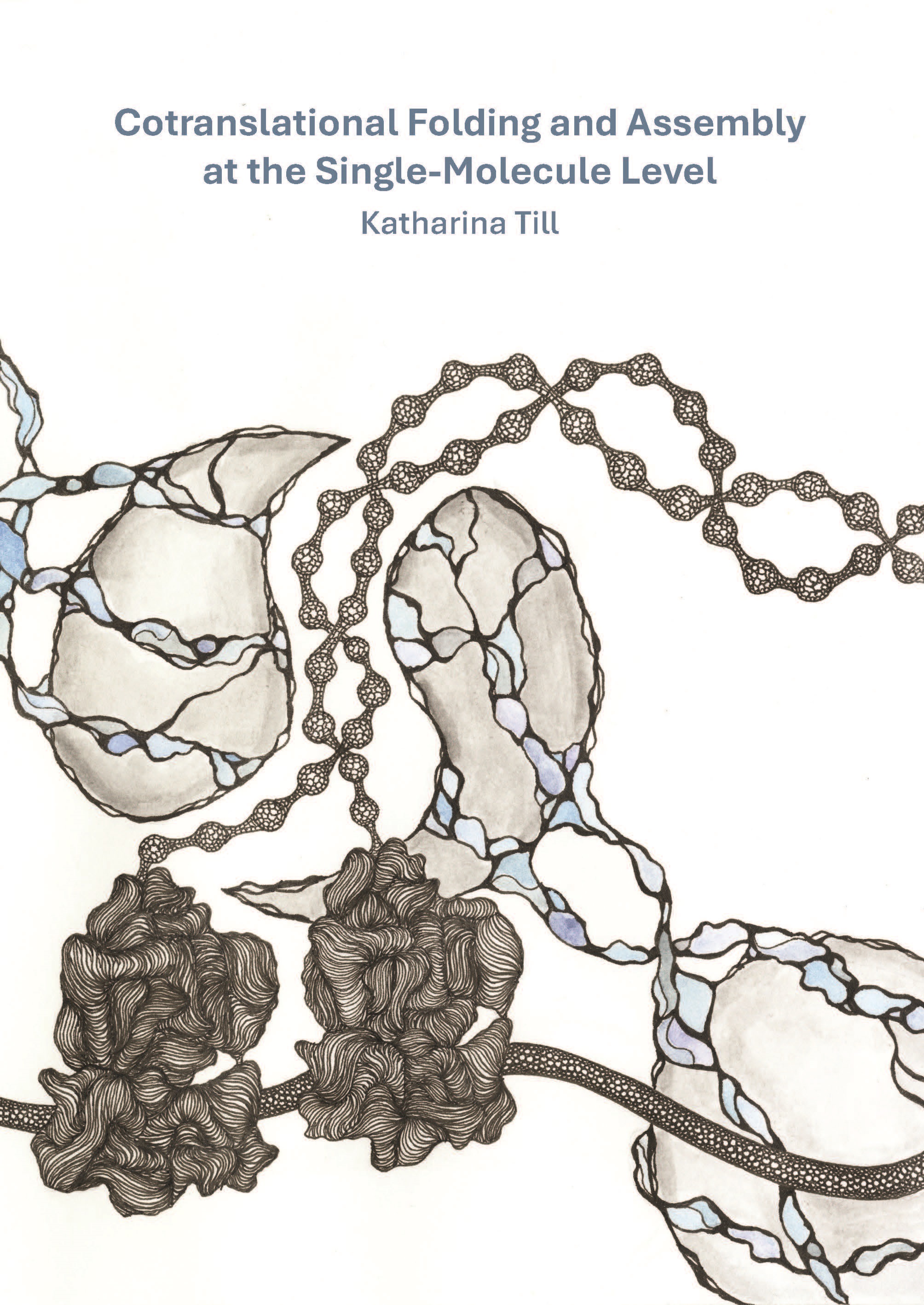 Cover of Cotranslational Folding and Assembly at the Single-Molecule Level