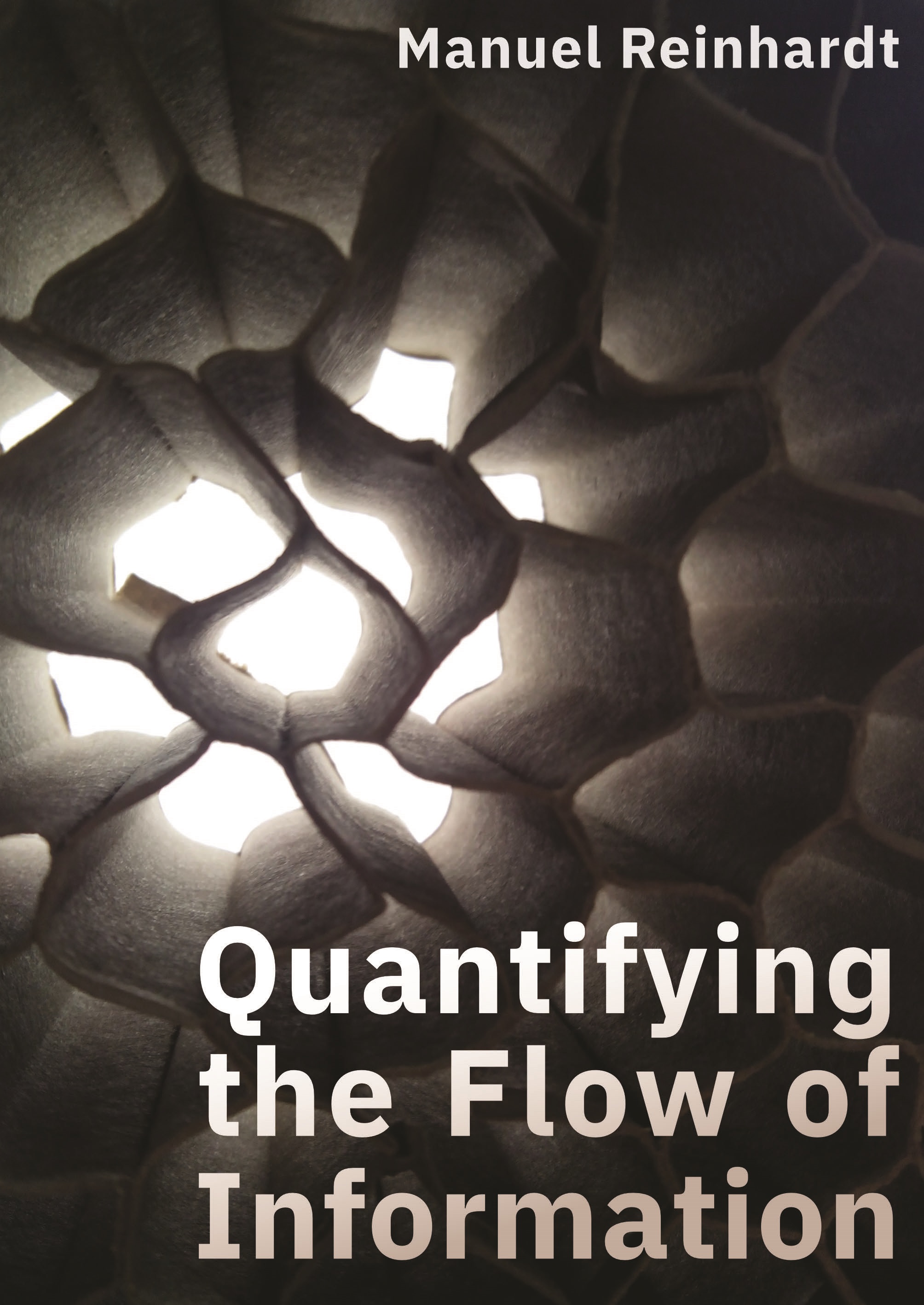 Cover of Quantifying the Flow of Information