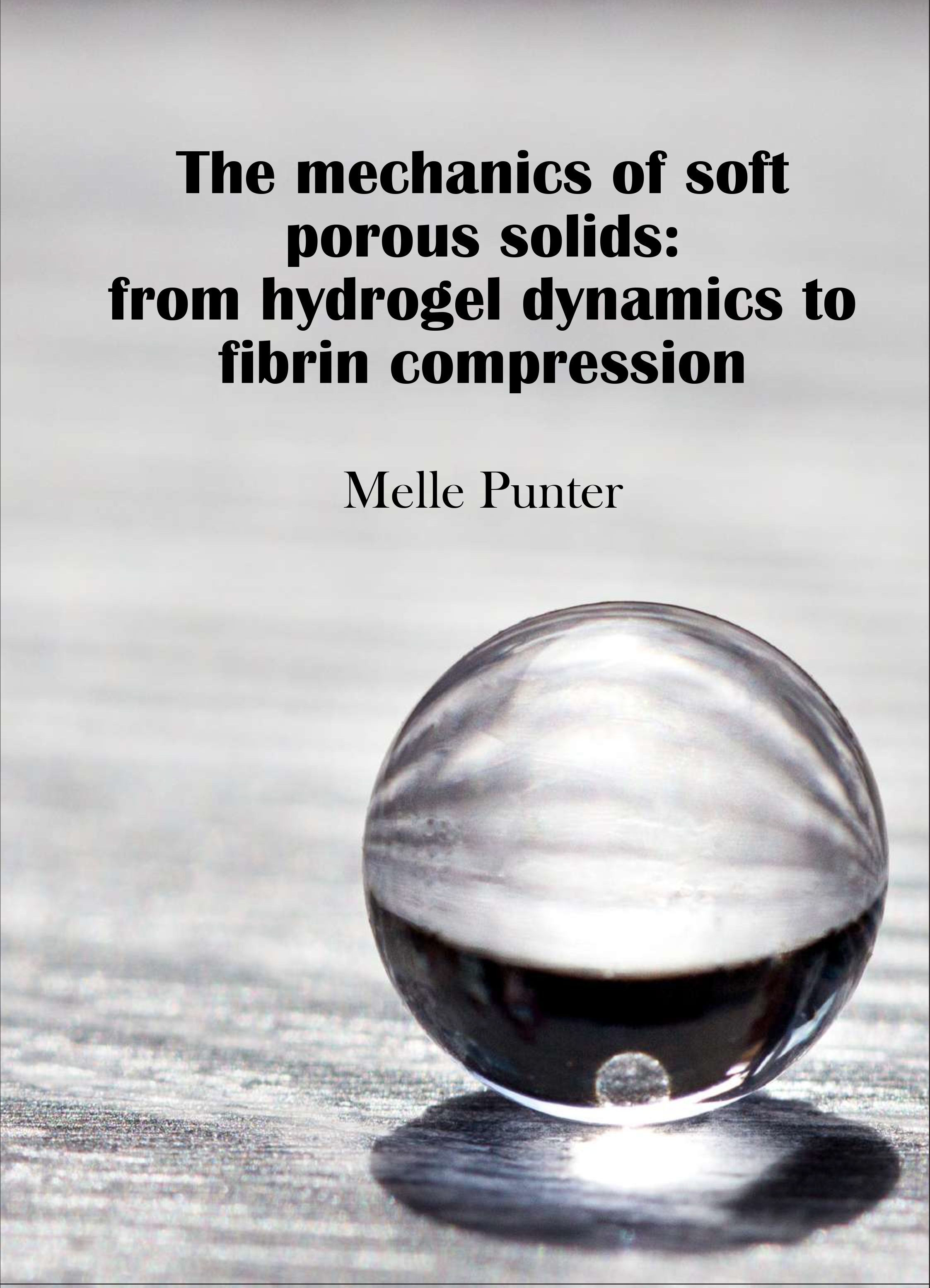 Cover of The mechanics of soft porous solids: from hydrogel dynamics to fibrin compression