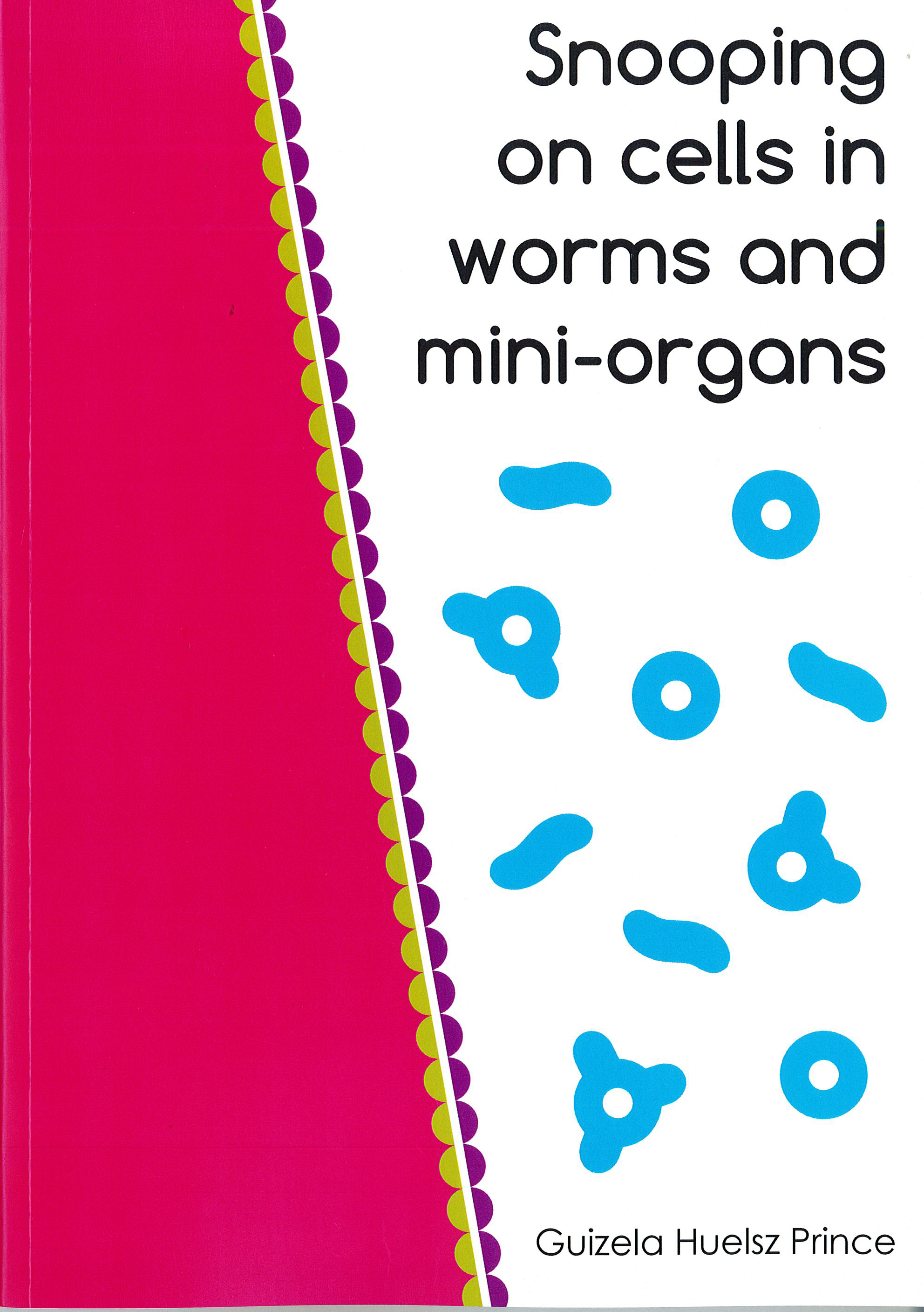 Cover of Snooping on cells in worms and mini-organs