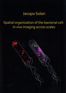 Cover of Spatial organization of the bacterial cell: in vivo imaging across scales