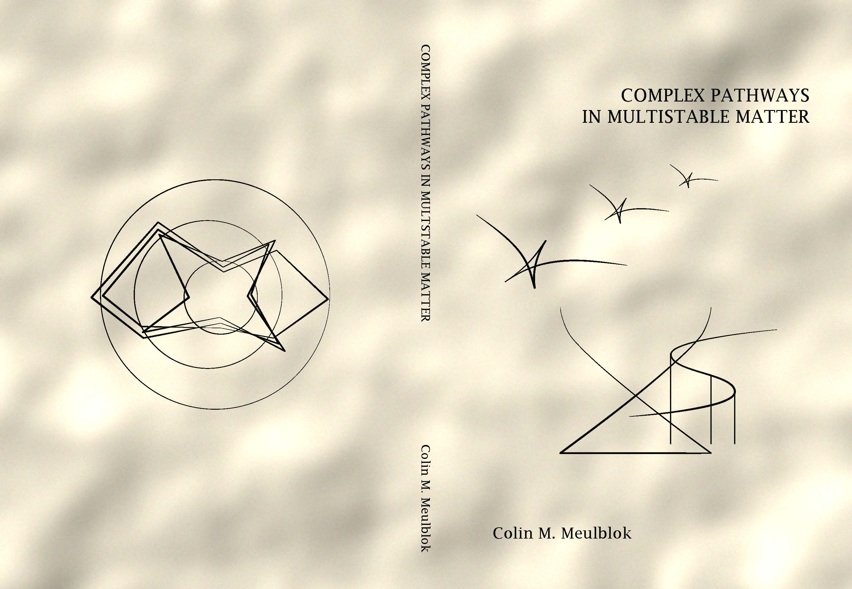 Cover of Complex pathways in multistable matter