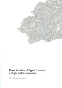 Cover of Phase variation of type 1 fimbriae : a single cell investigation