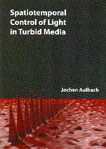 Cover of Spatiotemporal control of light in turbid media