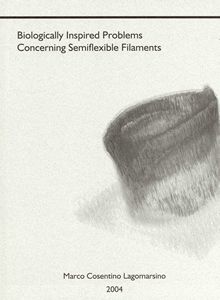 Cover of Biologically inspired problems concerning semiflexible filaments