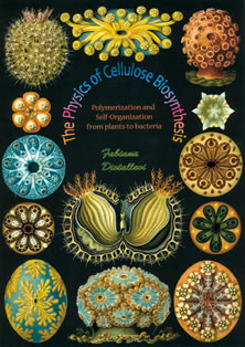 Cover of The physics of cellulose biosynthesis: polymerization and self-organization, from plants to bacteria