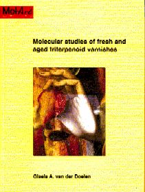 Cover of Molecular studies of fresh and aged triterpenoid varnishes (MolArt; 1)