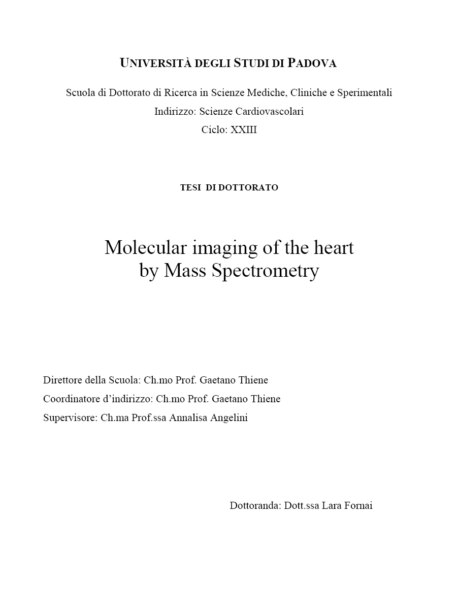 Cover of Molecular imaging of the heart by Mass Spectrometry
