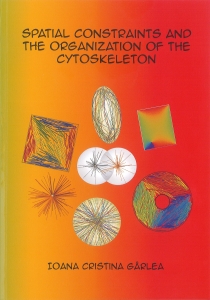 Cover of Spatial constraints and the organization of the cytoskeleton