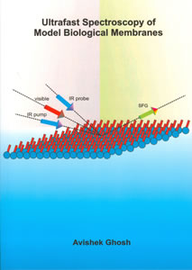 Cover of Ultrafast spectroscopy of model biological membranes