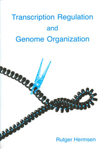 Cover of Transcription regulation and genome organization