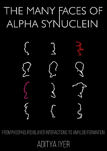 Cover of The many faces of alpha synuclein : from phospholipid bilayer interactions to amyloid aggregation