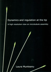 Cover of Dynamics and regulation at the tip: a high resolution view on microtubule assembly