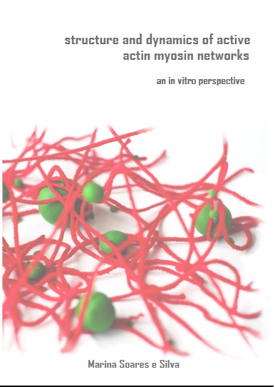Cover of Structure and dynamics of active actin myosin networks : an in vitro perspective