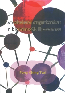 Cover of Cytoskeletal organization in biomimetic liposomes
