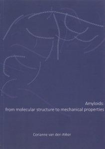 Cover of Amyloids: from molecular structure to mechanical properties