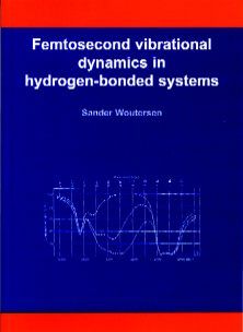 Cover of Femtosecond vibrational dynamics in hydrogen-bonded systems