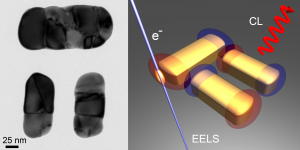 figure_Nanoletters Coenen