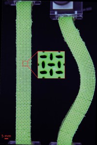 mechanical metamaterials martin van hecke metabeam