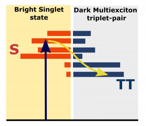 ultrafast spectroscopuy 151027 bakulin state diagram