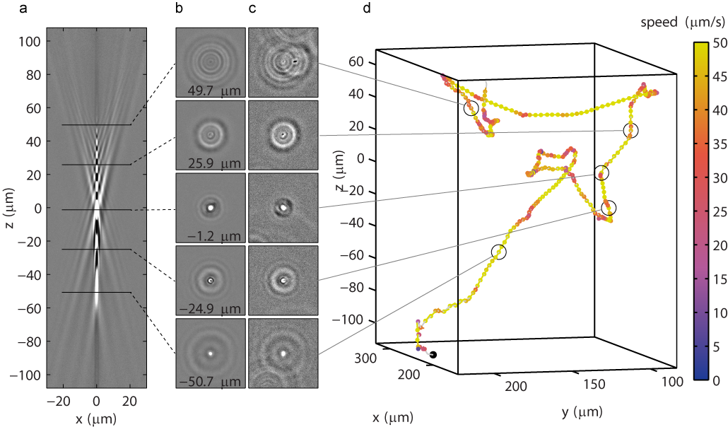 figure2-150dpi-amolf