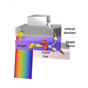 Singlet fission in hybrid solar cells
