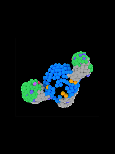 Only Organoid