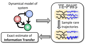 TE-PWS takes in a dynamical model and outputs an exact estimate of information transfer (AMOLF)