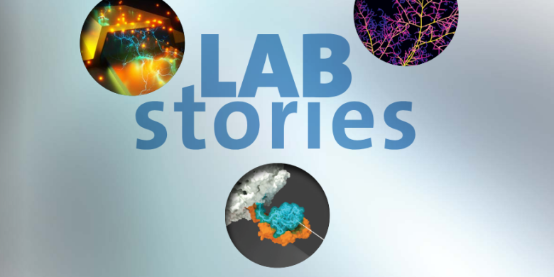 Cover of Lab stories - AMOLF 2025