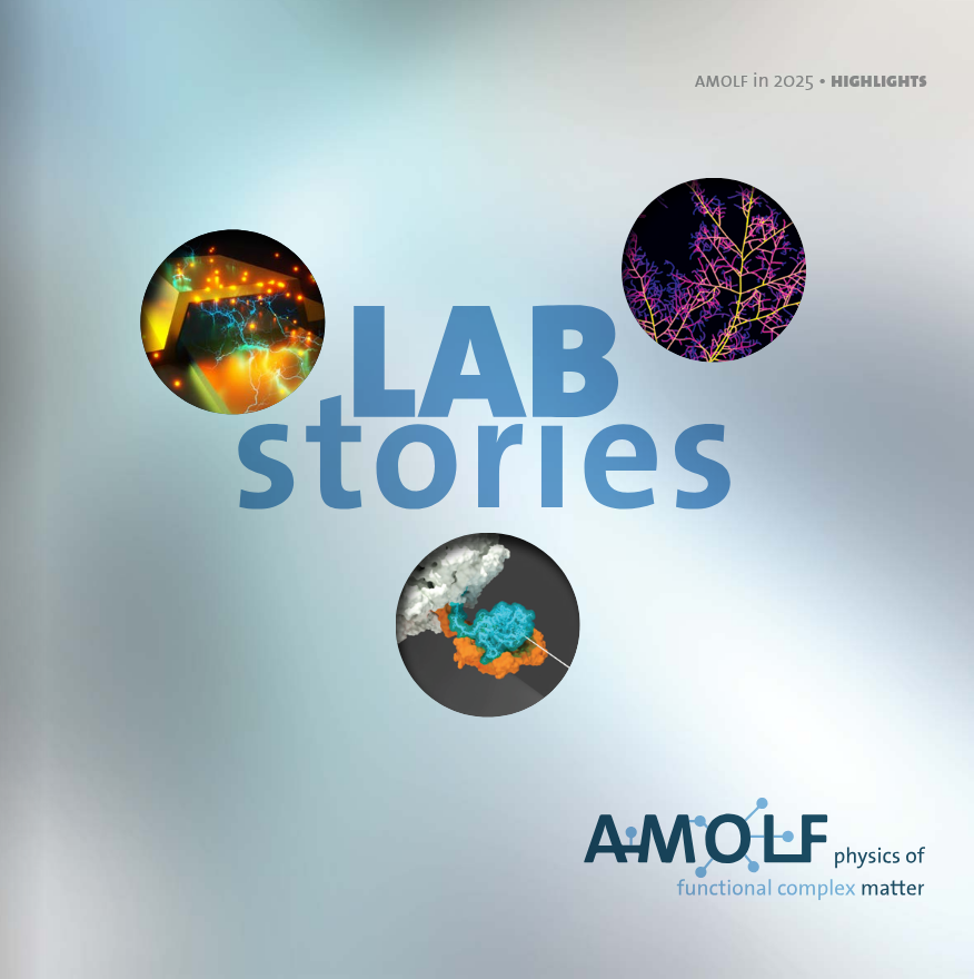 Cover of Lab stories - AMOLF 2025