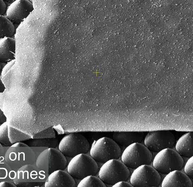 Scanning electron microscope image of a flake of 2D material on top of a pointy surface.