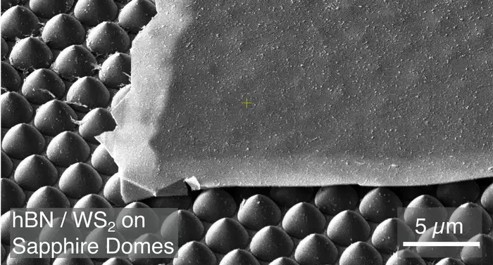 Scanning electron microscope image of a flake of 2D material on top of a pointy surface.